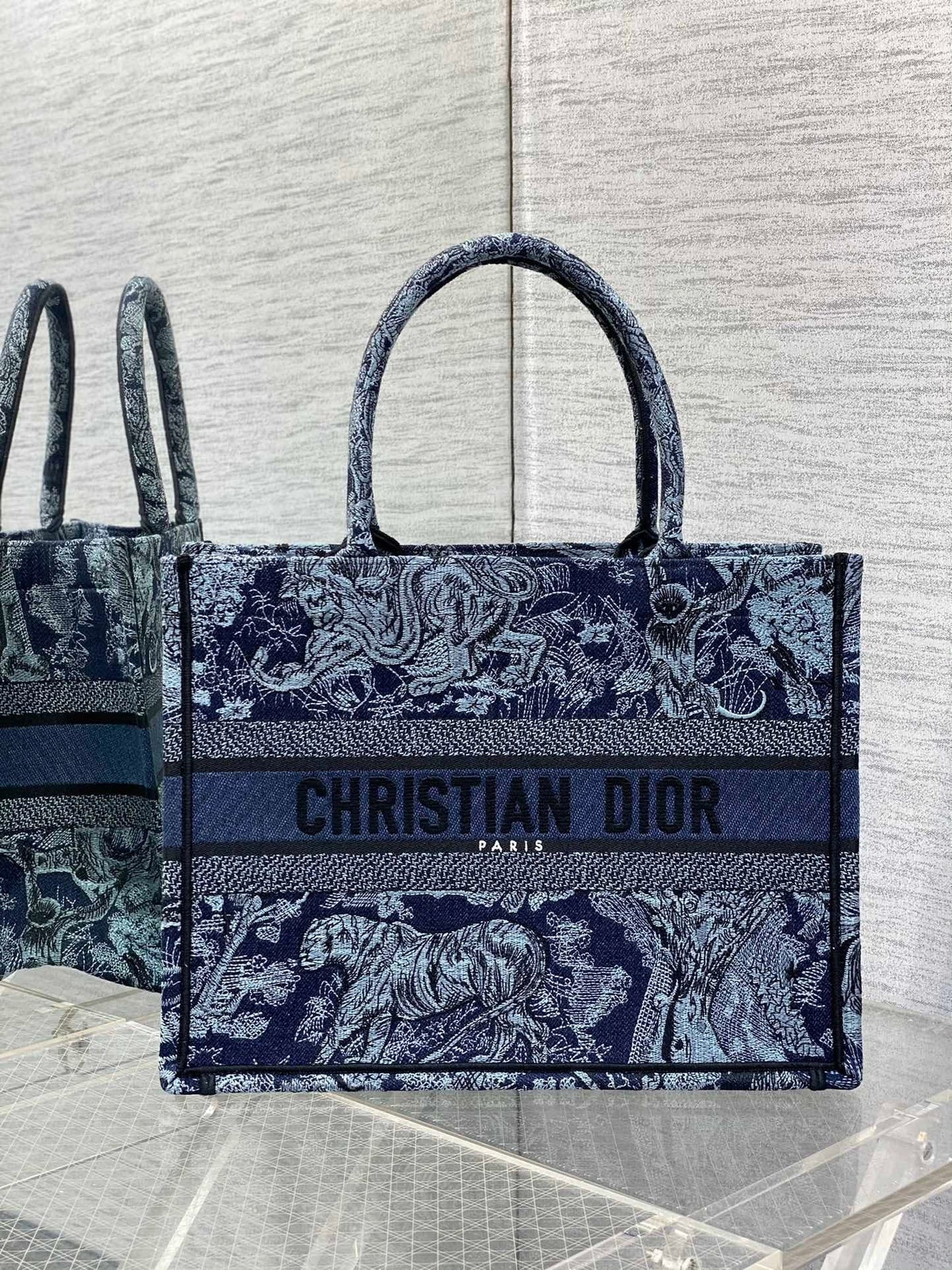 Christian Dior Book Tote Bag