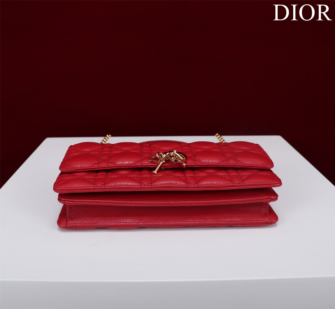 Christian Dior  My Dior Mini Bag