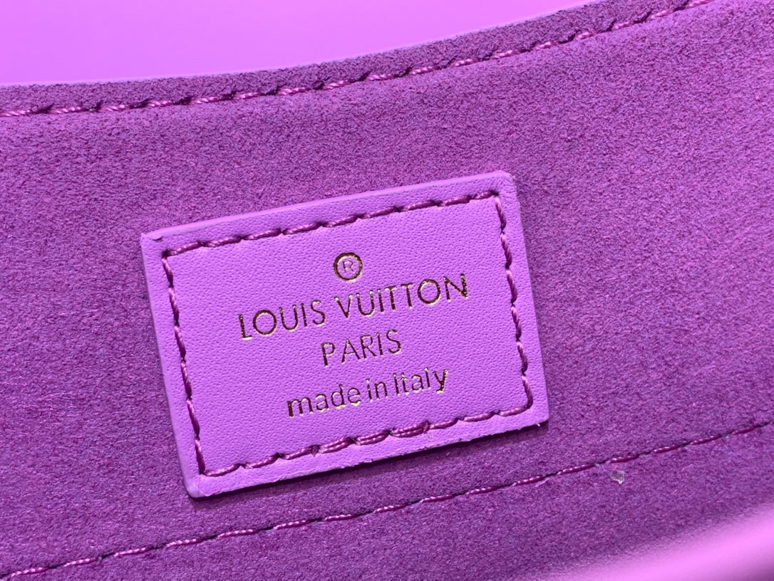 Louis Vuitton Hide And Seek Bag