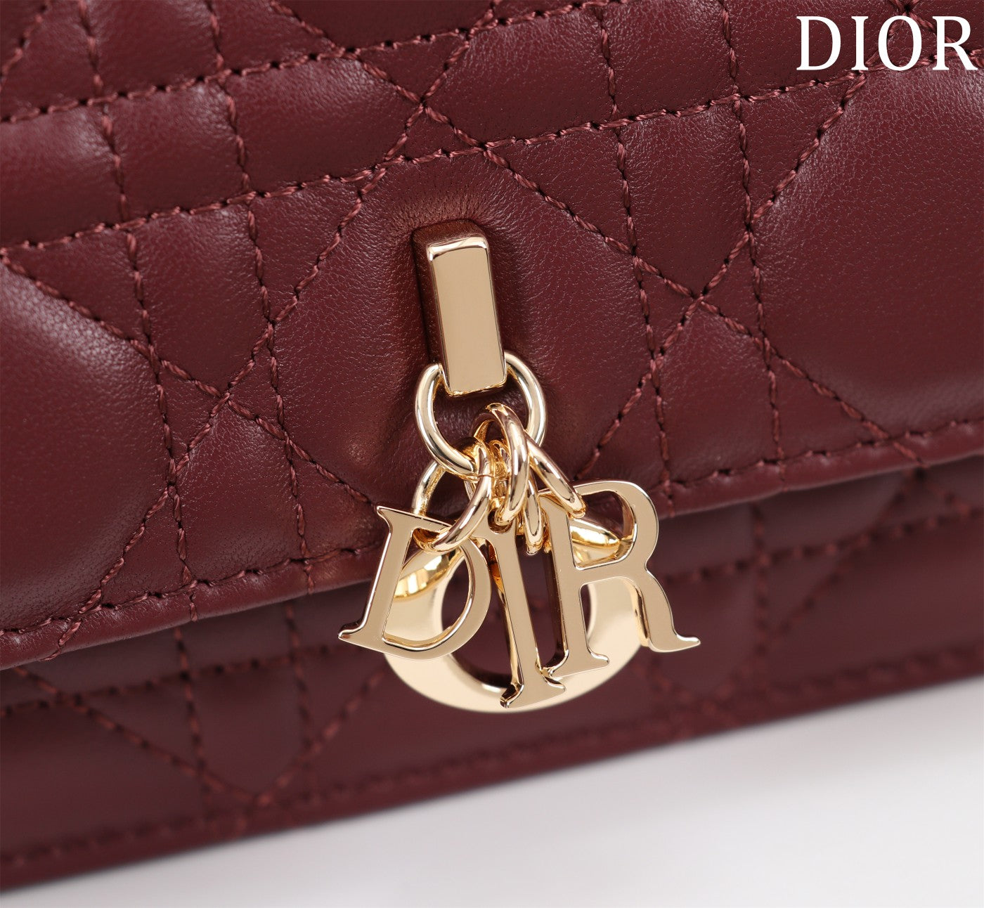 Christian Dior  My Dior Mini Bag