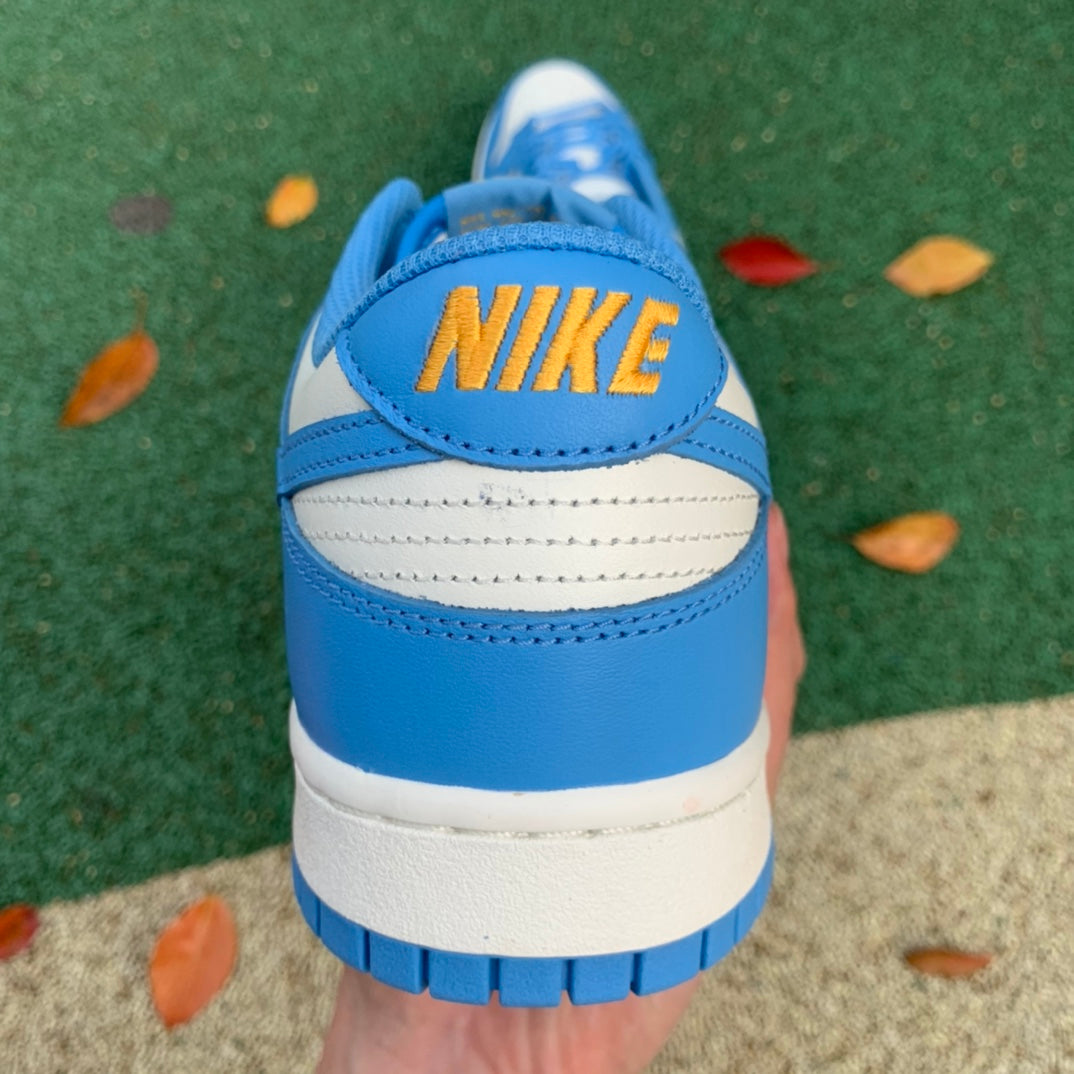 Nike "Coast" Dunk Shoes