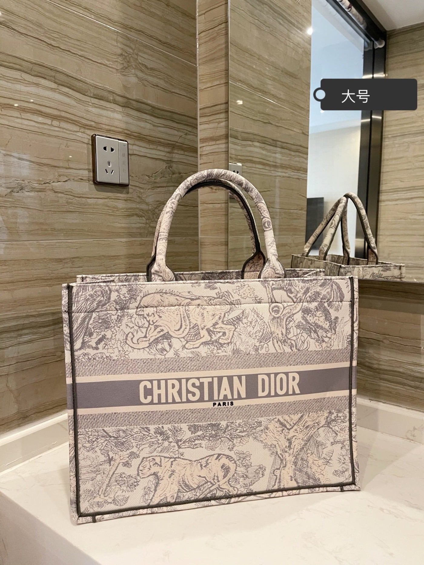 Budget Dior Tote Bag