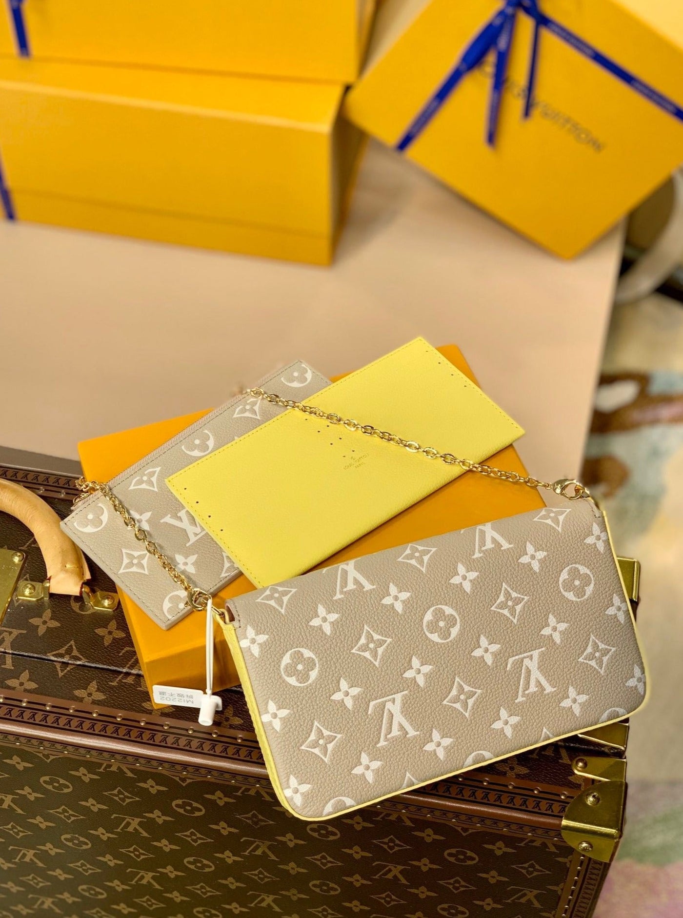 Louis Vuitton Felicie Pochette Bag