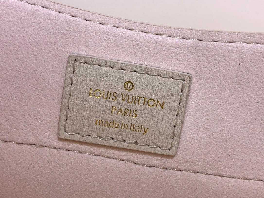 Louis Vuitton Hide And Seek Bag