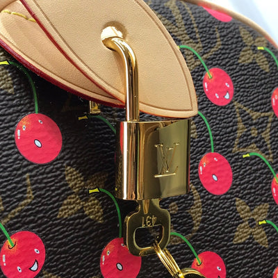 Louis Vuitton Takashi Murakami Speedy Bag