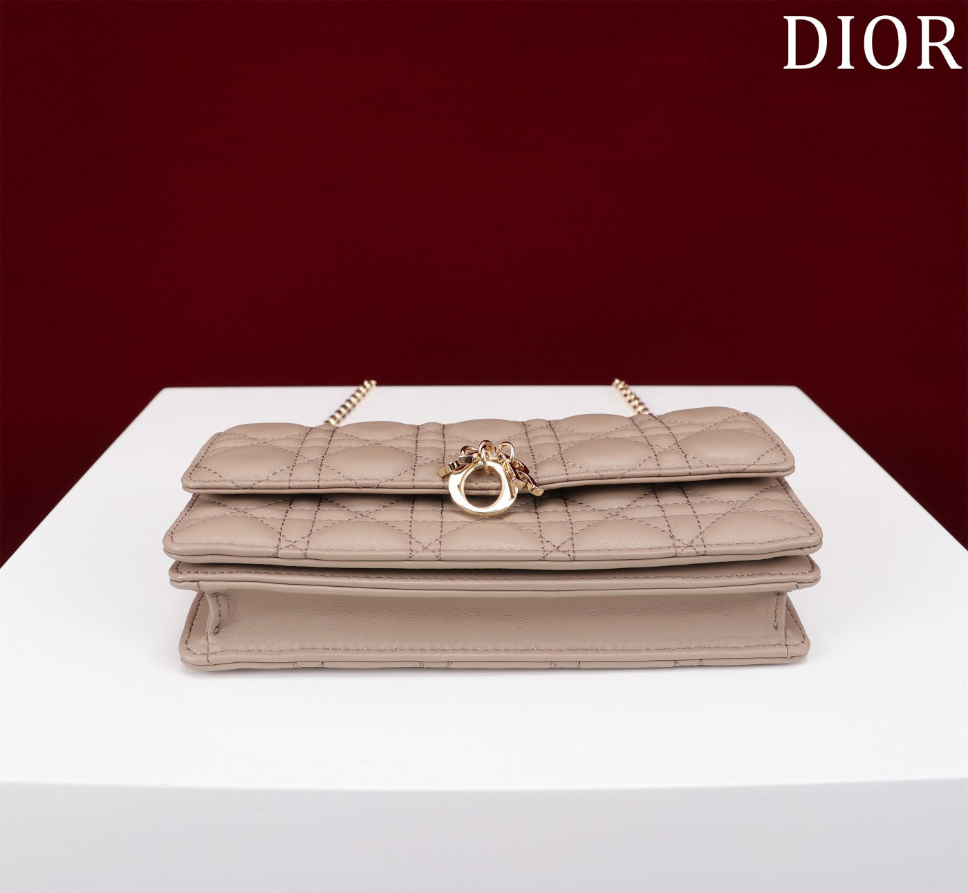 Christian Dior  My Dior Mini Bag