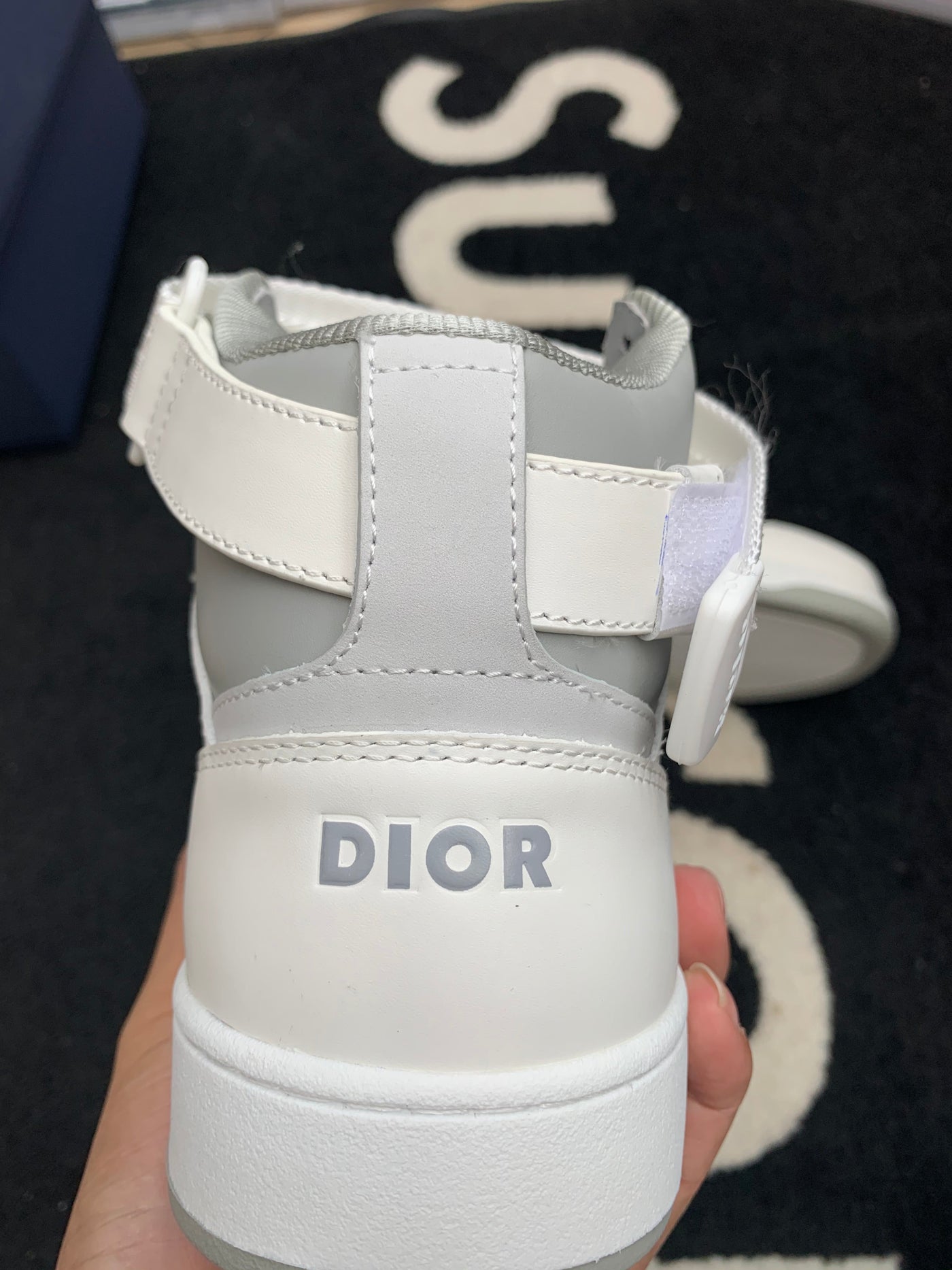 Dior B22 High Top Shoes