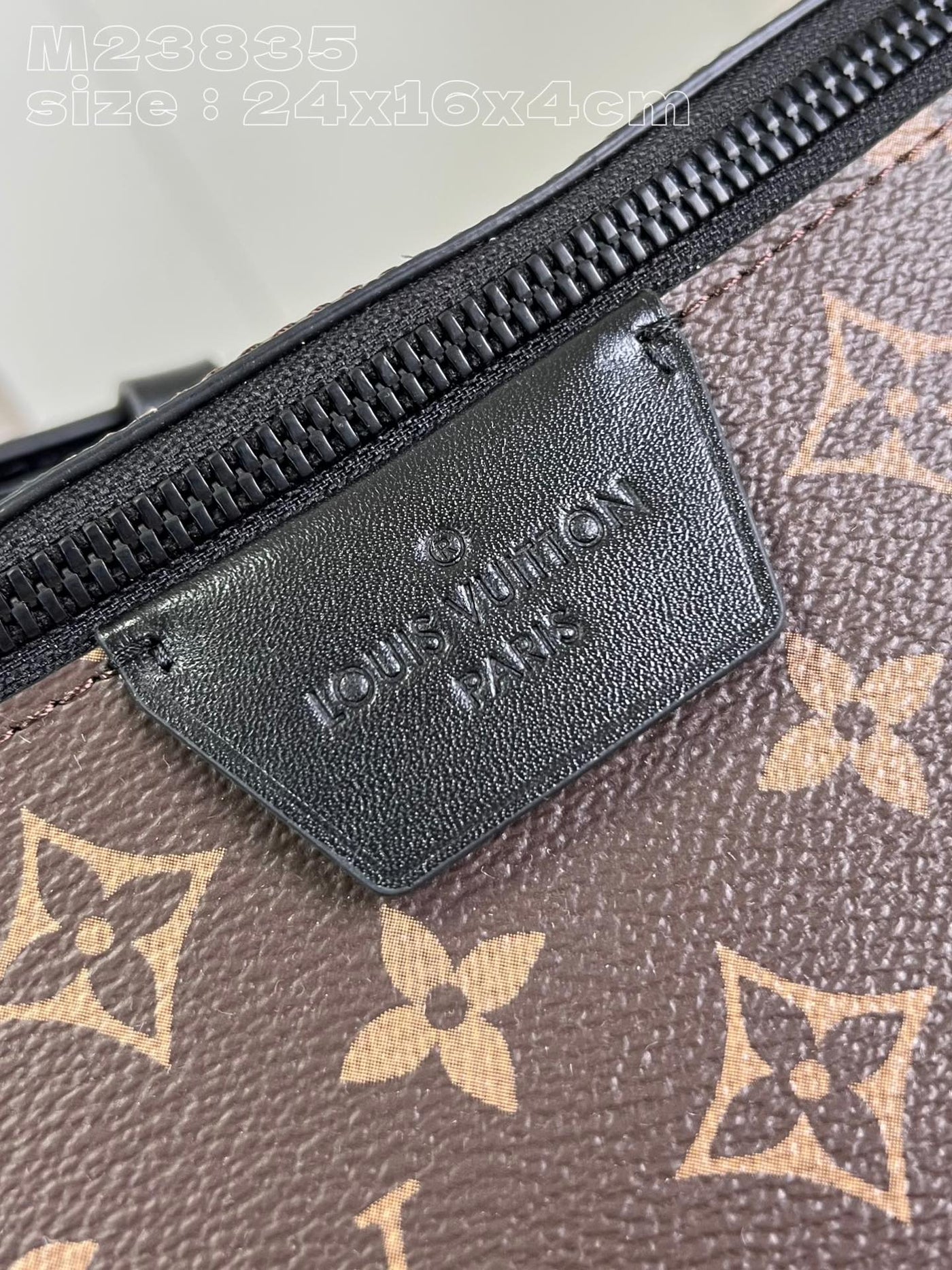 Louis Vuitton Moon Crossbody Bag