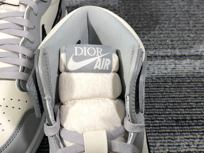 Dior x Jordan Shoes