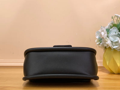 Louis Vuitton Hide And Seek Bag