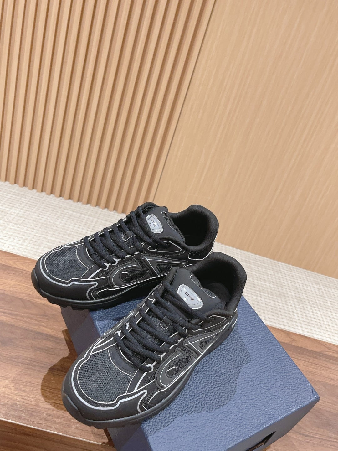 Christian Dior Men B30 Sneaker