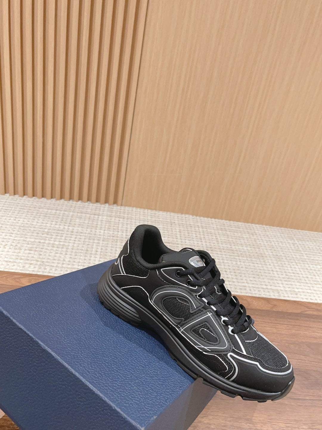 Christian Dior Men B30 Sneaker