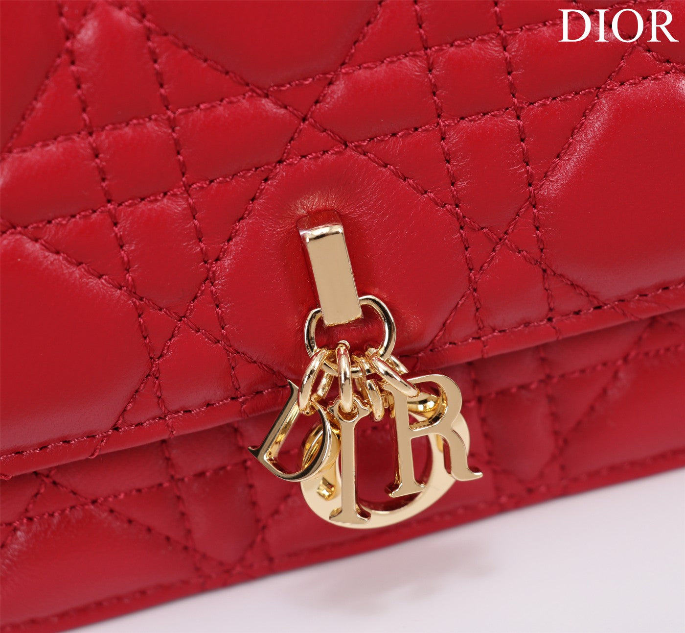 Christian Dior  My Dior Mini Bag