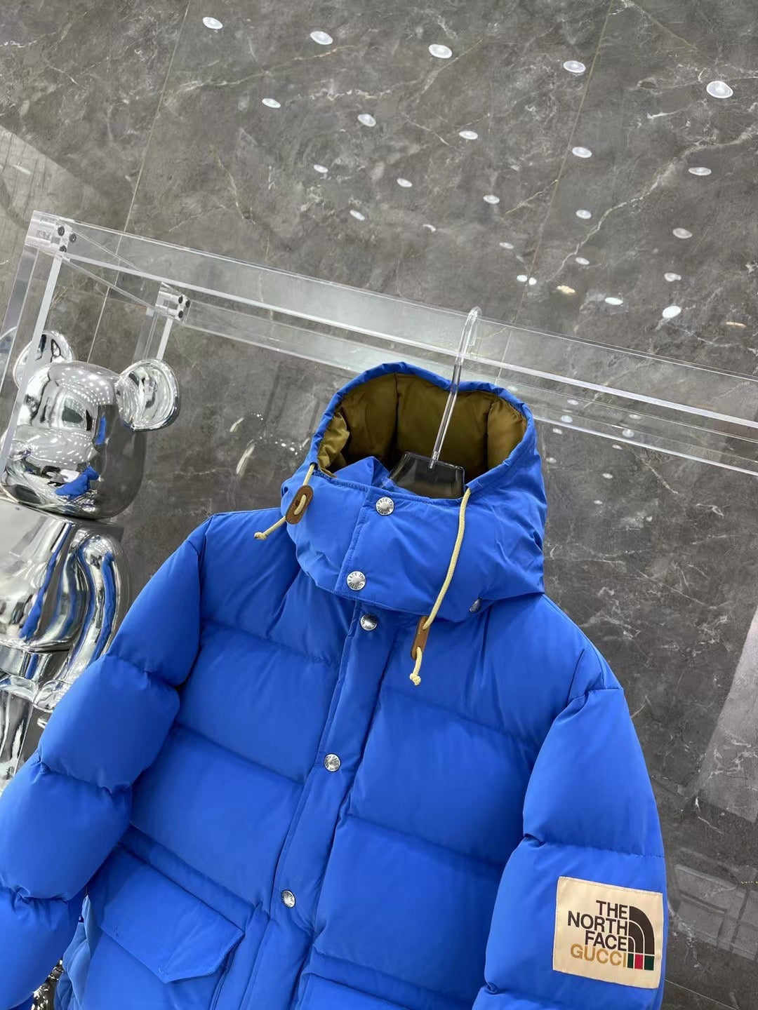 Gucci North Face Puffer Jacket