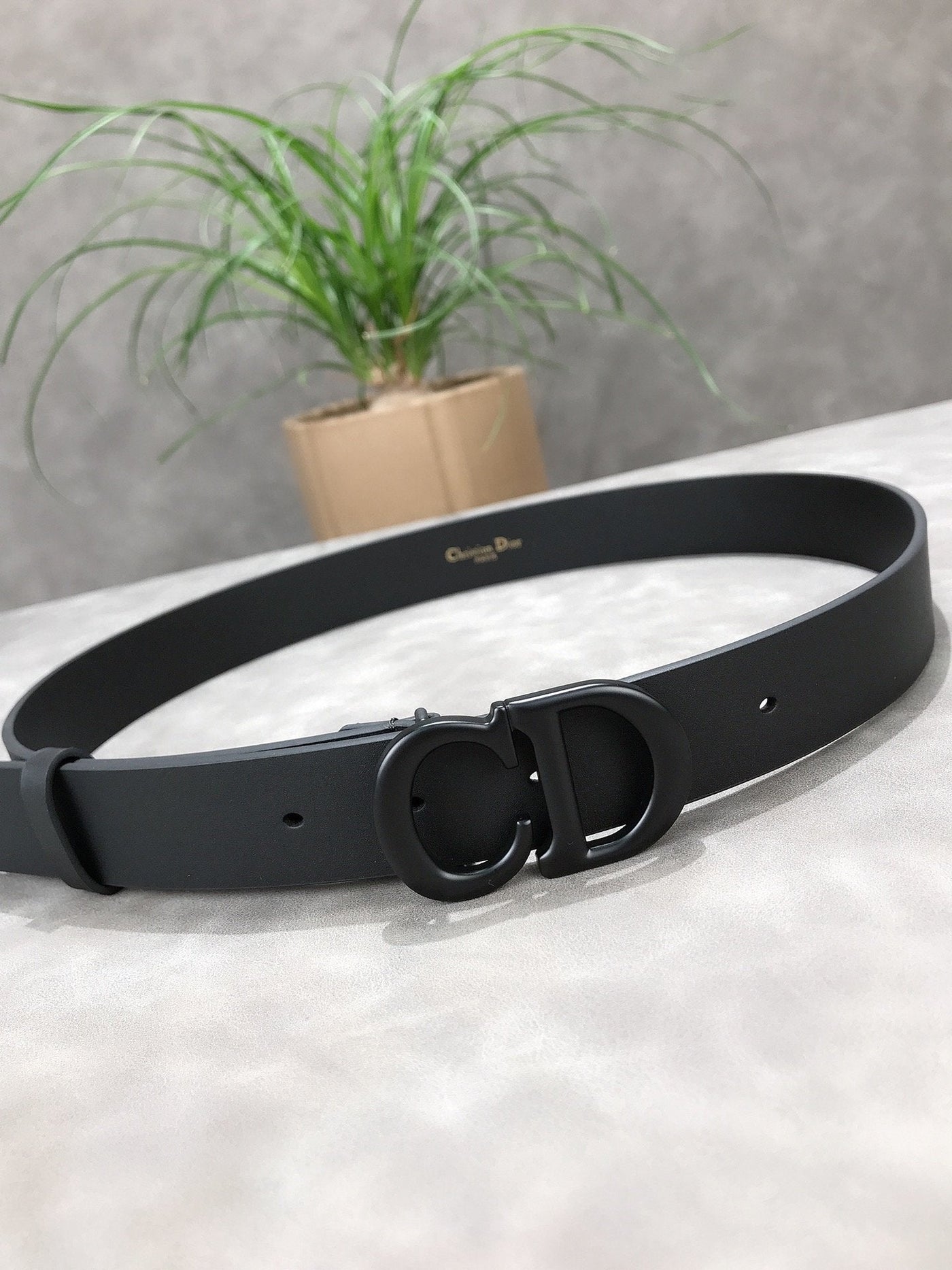 Christian Dior Matte Belt Accessory