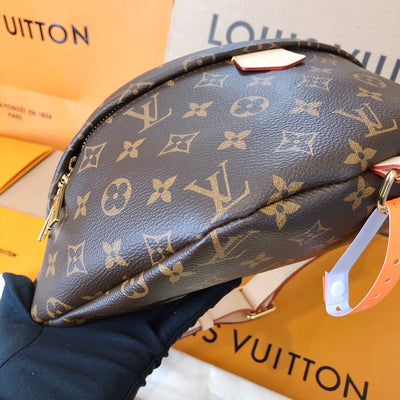 Louis Vuitton Bum Bag