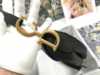 Dior Saddle Bag