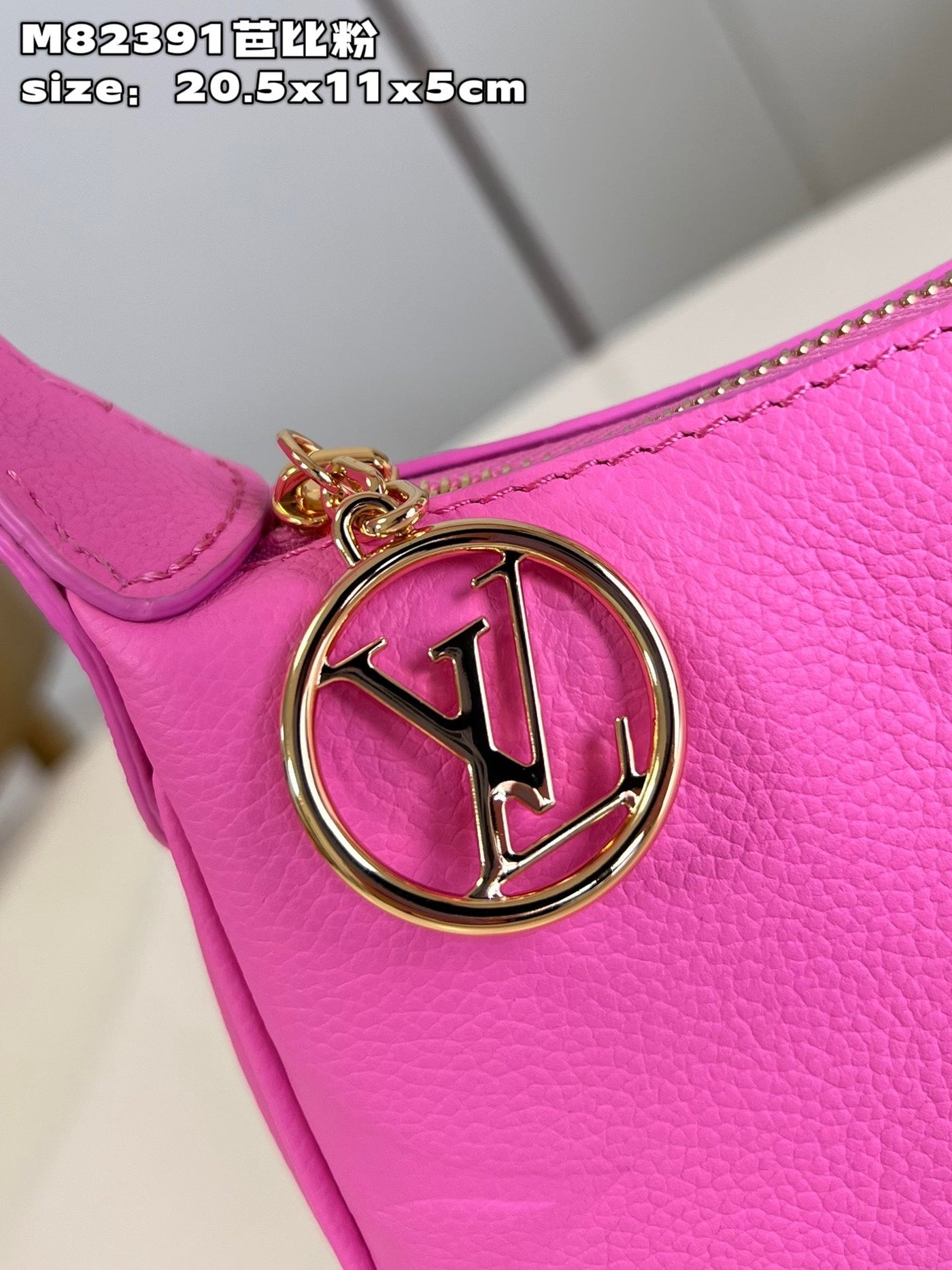 Louis Vuitton Mini Moon Bag