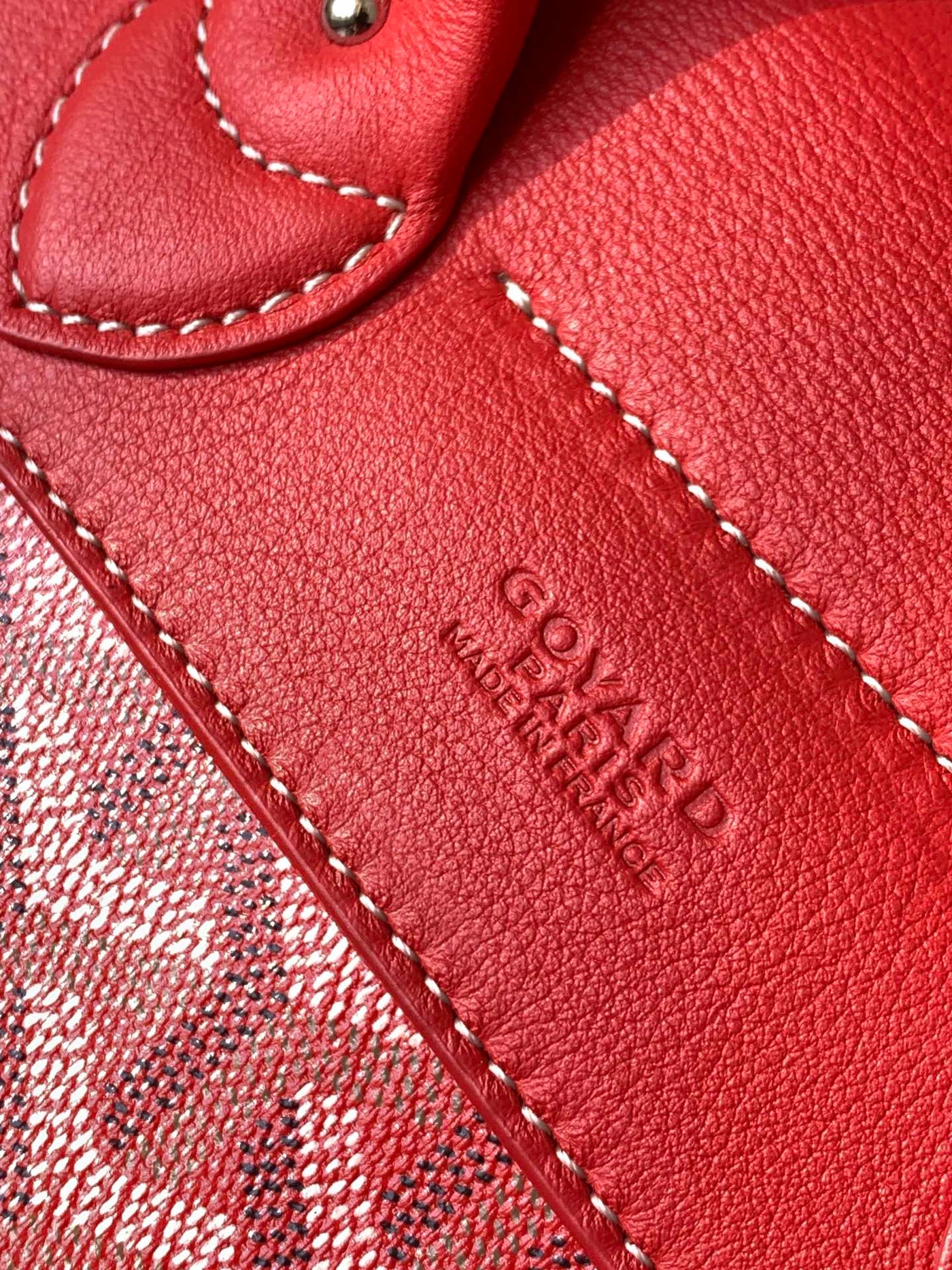 Goyard Alpin Mini Backpack