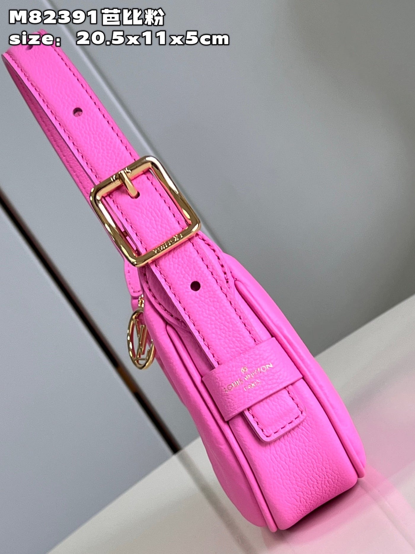 Louis Vuitton Mini Moon Bag