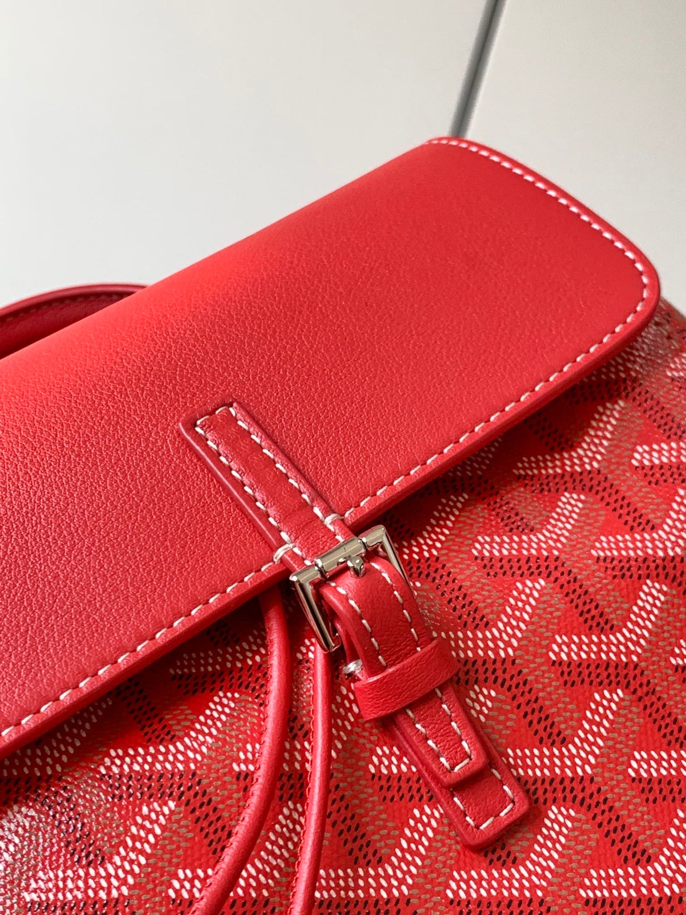 Goyard Alpin Mini Backpack